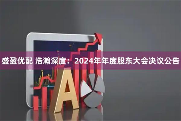 盛盈优配 浩瀚深度：2024年年度股东大会决议公告
