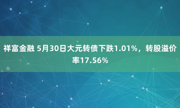 祥富金融 5月30日大元转债下跌1.01%，转股溢价率17.56%