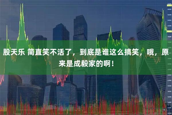 股天乐 简直笑不活了，到底是谁这么搞笑，哦，原来是成毅家的啊！