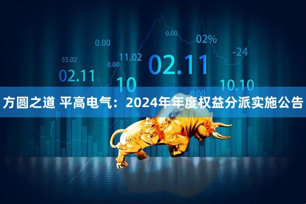 方圆之道 平高电气：2024年年度权益分派实施公告