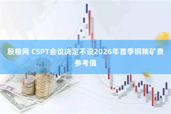 股粮网 CSPT会议决定不设2026年首季铜精矿费参考值